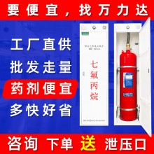 柜式七氟丙烷滅火器柜式七氟丙烷滅火裝置消防滅火器器材設(shè)備批發(fā)